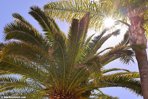 Ghosts, Nikon 35 1.8 G FX