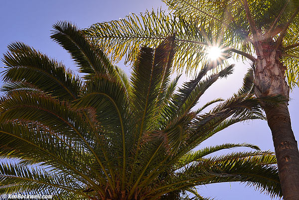 Nikon 35 1.8 G FX Sunstars