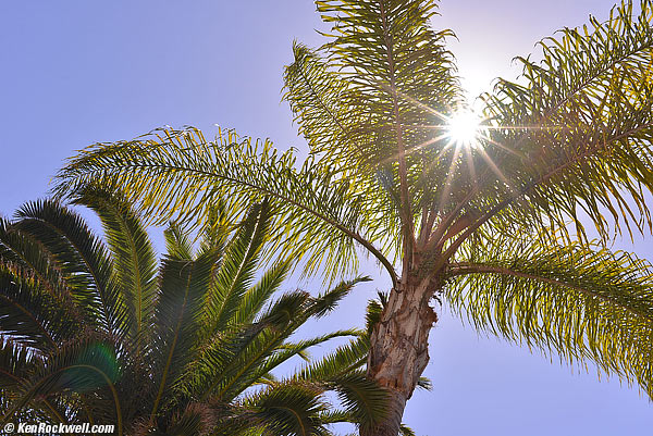 Nikon 35mm f/2 AFD flare