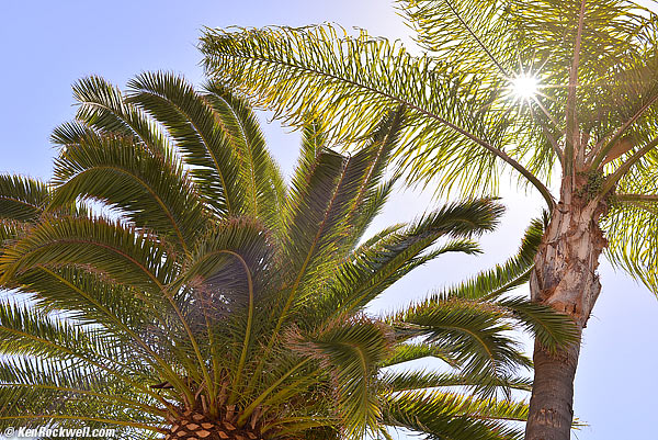 Nikon 35mm f/2 AFD flare