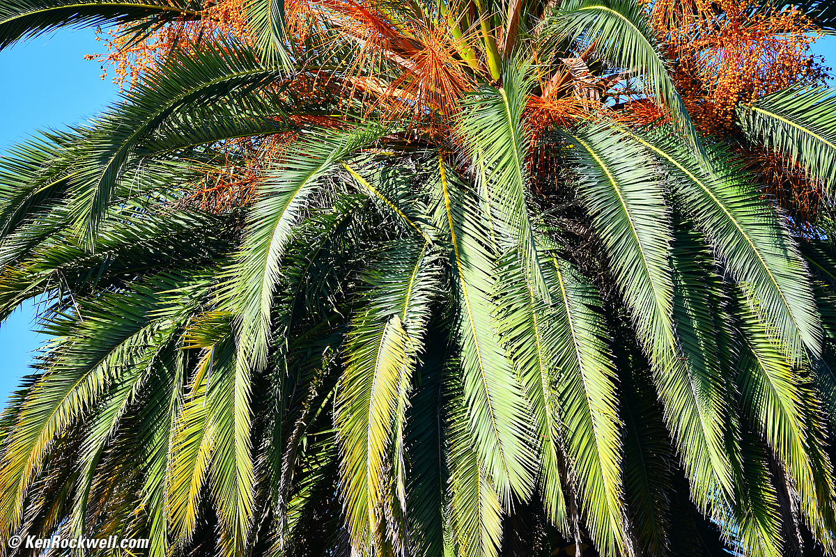 Nikon 400 2.8 Bokeh Sample Image File