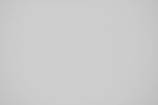 Nikon 500mm f/5.6 falloff