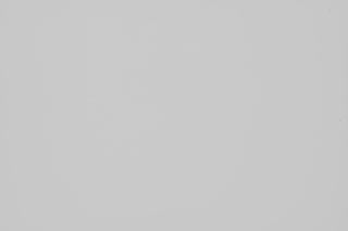 Nikon 500mm f/5.6 falloff