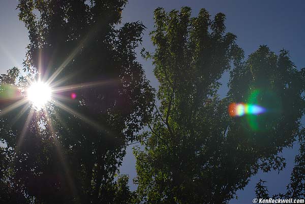 Nikon 50mm f/1.2 sunstars