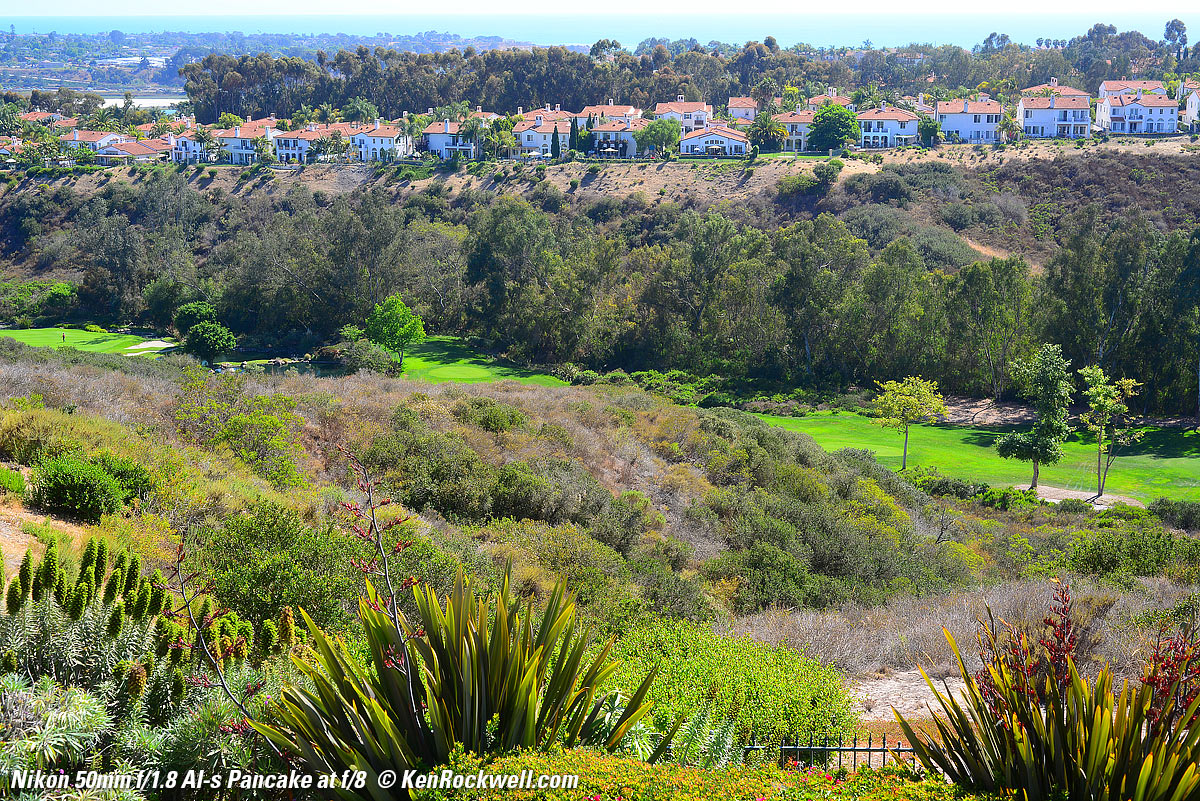 Nikon 50/1.8 Macro performance