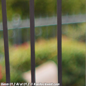 Nikon 55mm f/1.2 Bokeh