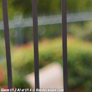 Nikon 55mm f/1.2 Bokeh