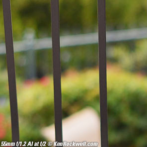 Nikon 55mm f/1.2 Bokeh