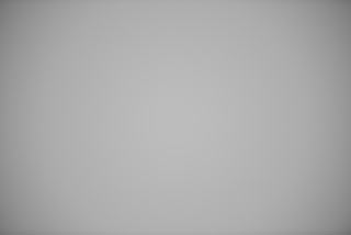 Nikon 70-200mm f/2.8 FL falloff