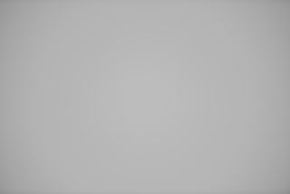 Nikon 70-200mm f/2.8 FL falloff