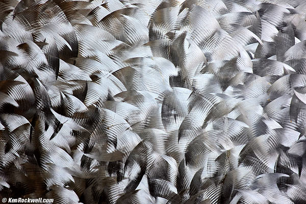 Curved Steel Trim, 23 November 2014 HOTG