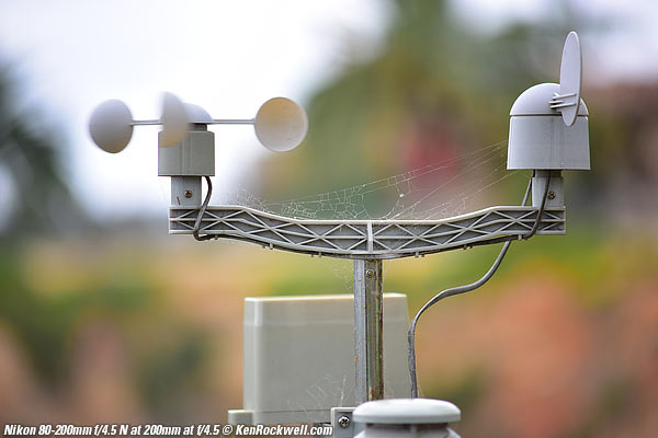 Nikon 80-200mm f/4.5 N bokeh