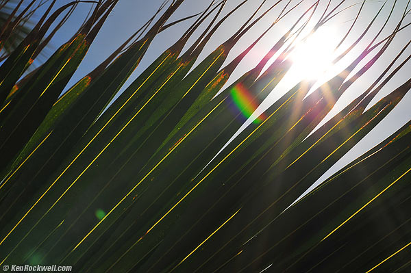 Nikon 85mm f/.4 AFS G Ghosts