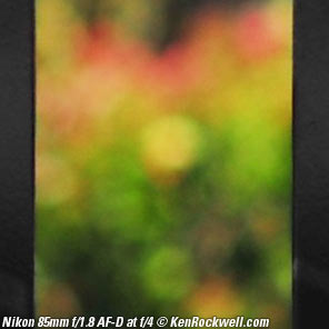 Nikon 85mm f/1.8 AF-D Bokeh