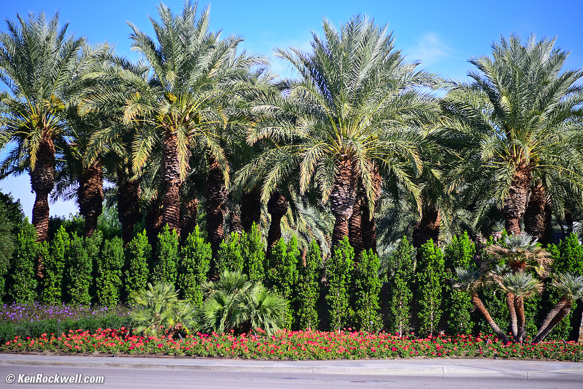 Nikon F 85mm f/1.8 Sample image file