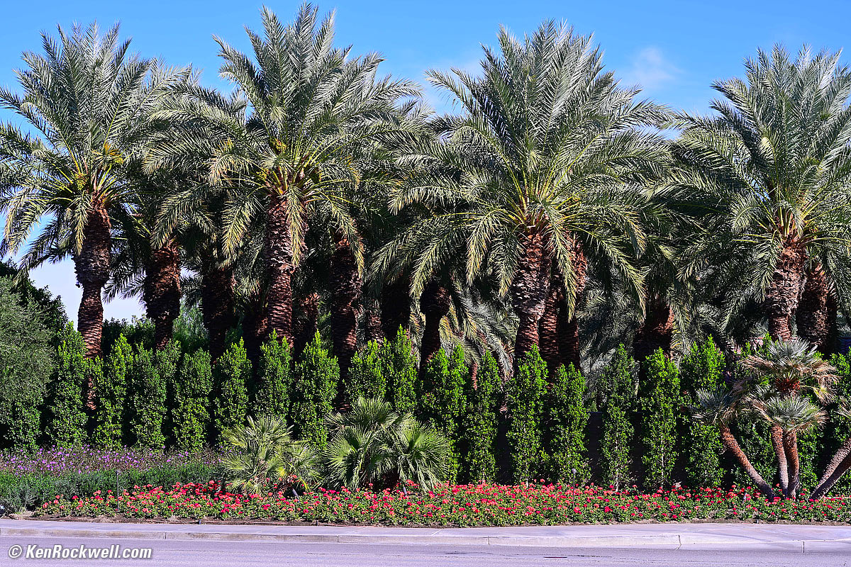 Nikon F 85mm f/1.8 Sample image file