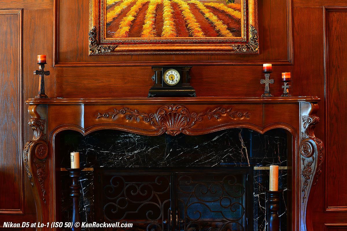 Nikon D5 High ISO Sample Image