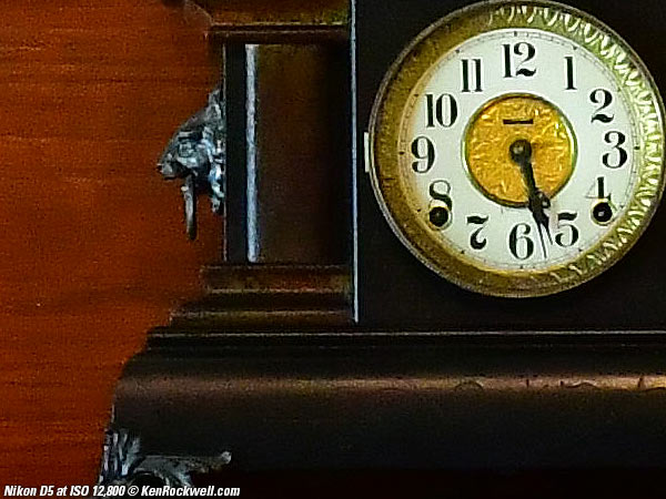 Nikon D5 High ISO Sample Image