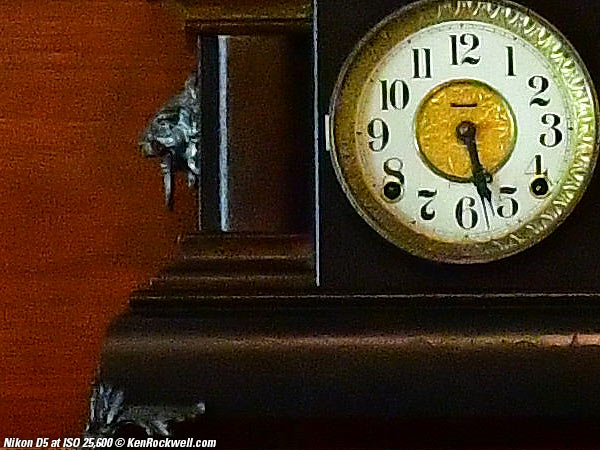 Nikon D5 High ISO Sample Image