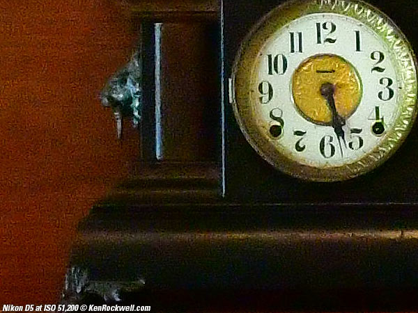 Nikon D5 High ISO Sample Image