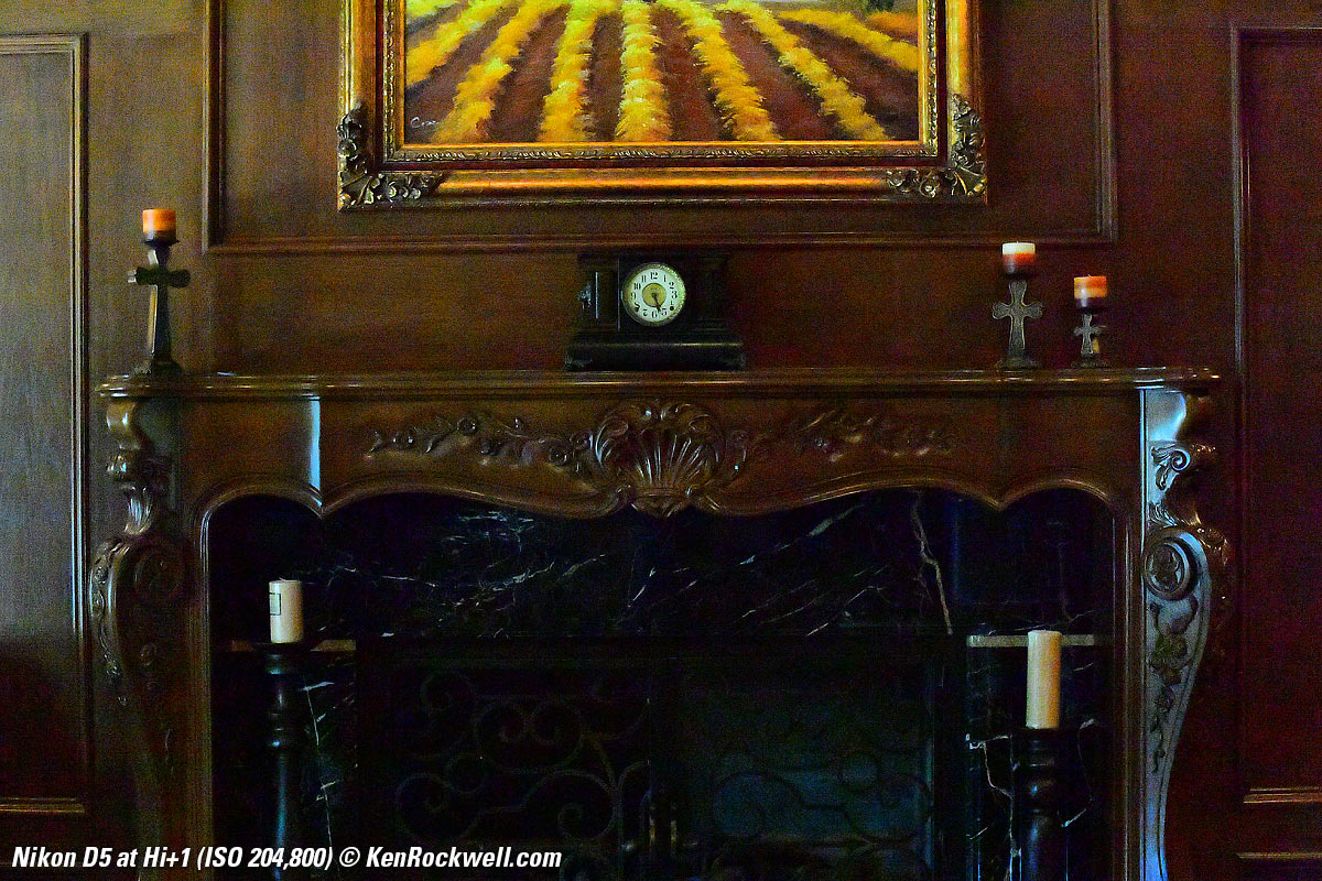 Nikon D5 High ISO Sample Image