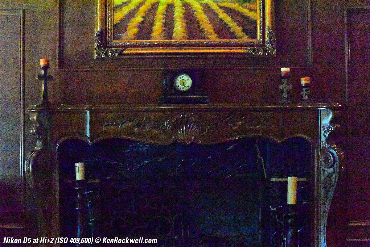 Nikon D5 High ISO Sample Image