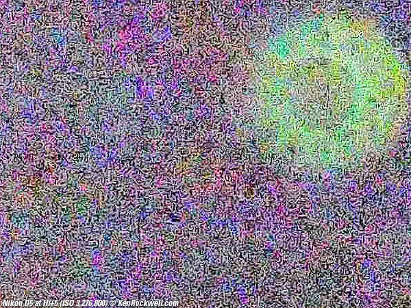 Nikon D5 High ISO Sample Image