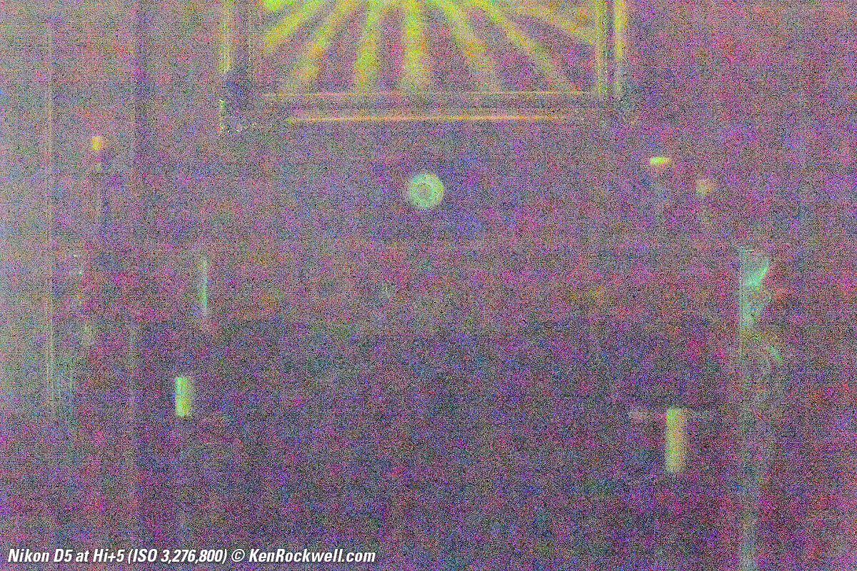 Nikon D5 High ISO Sample Image