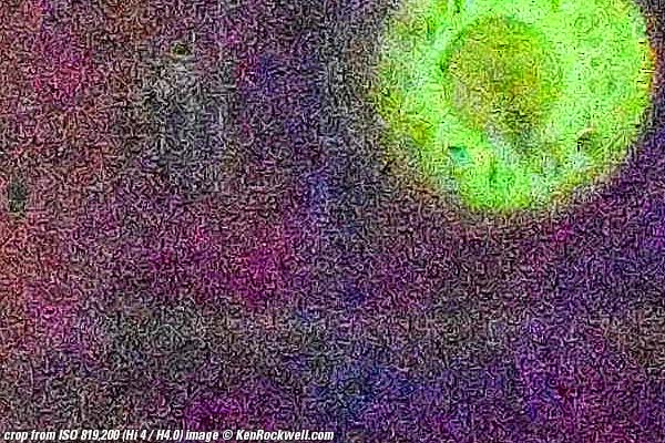 Nikon D500 High ISO Performance