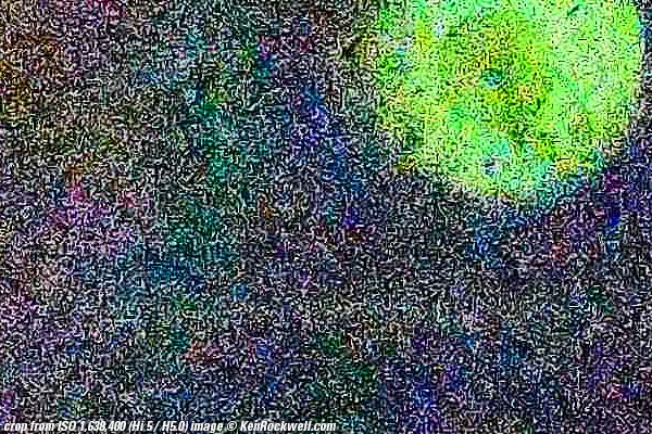 Nikon D500 High ISO Performance