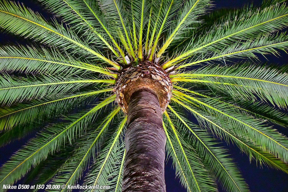 Nikon D500 at ISO 20,000