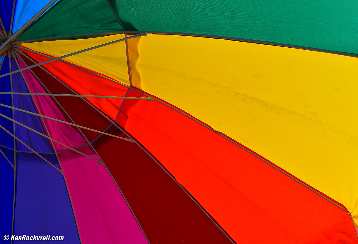 Nikon D5600 sample image