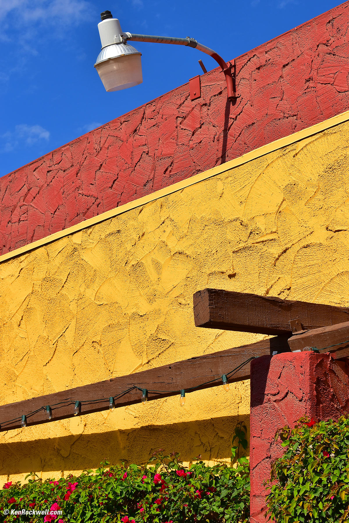 Nikon D5600 sample image