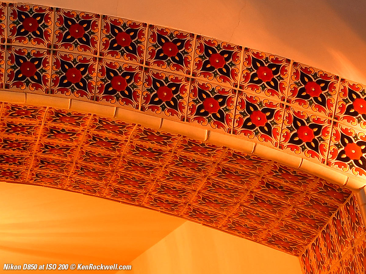 Nikon D850 High ISO Sample Image