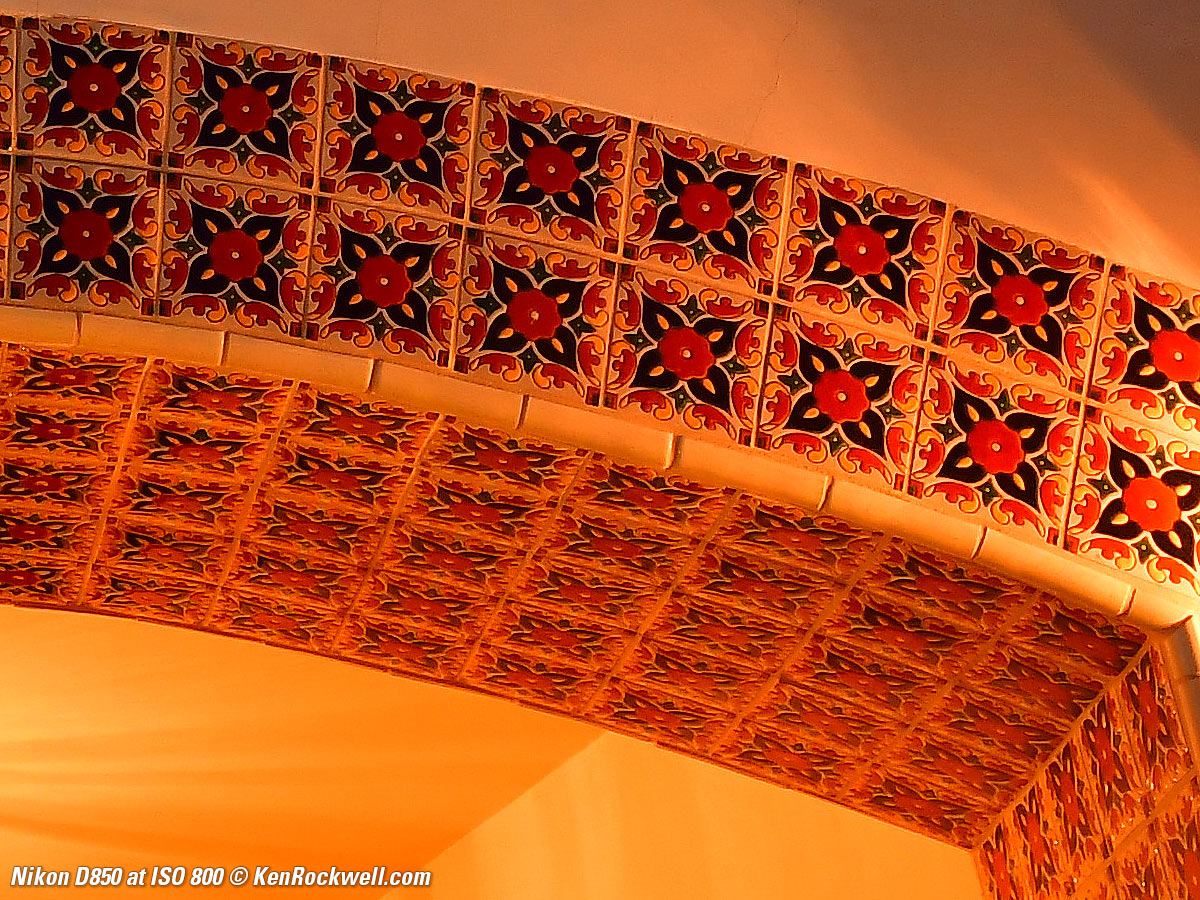 Nikon D850 High ISO Sample Image