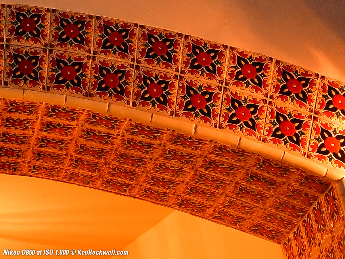 Nikon D850 High ISO Sample Image