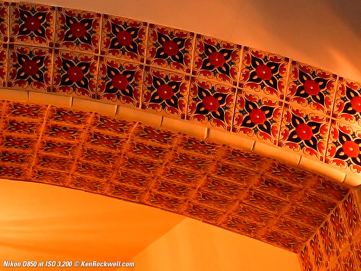 Nikon D850 High ISO Sample Image