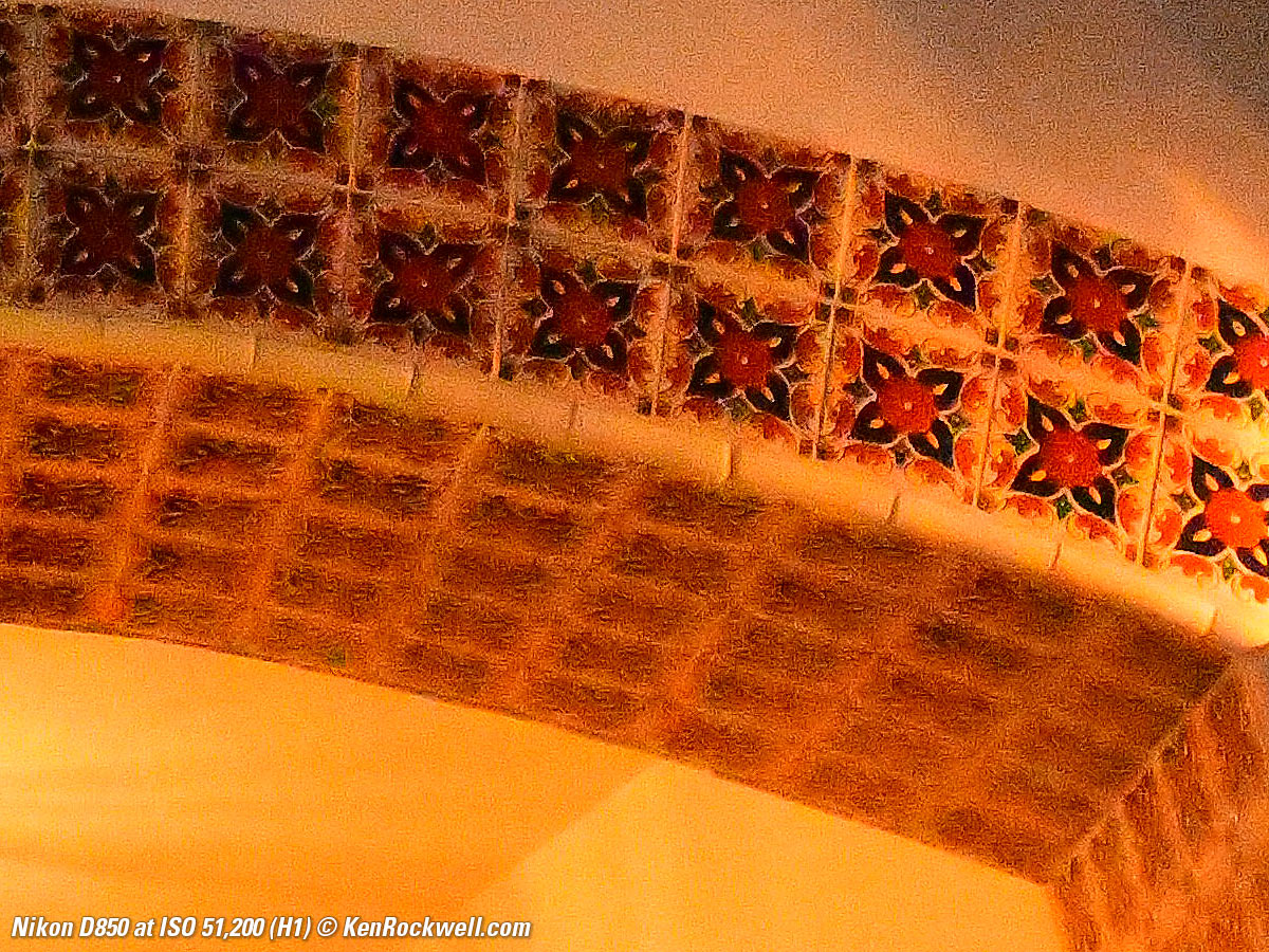 Nikon D850 High ISO Sample Image