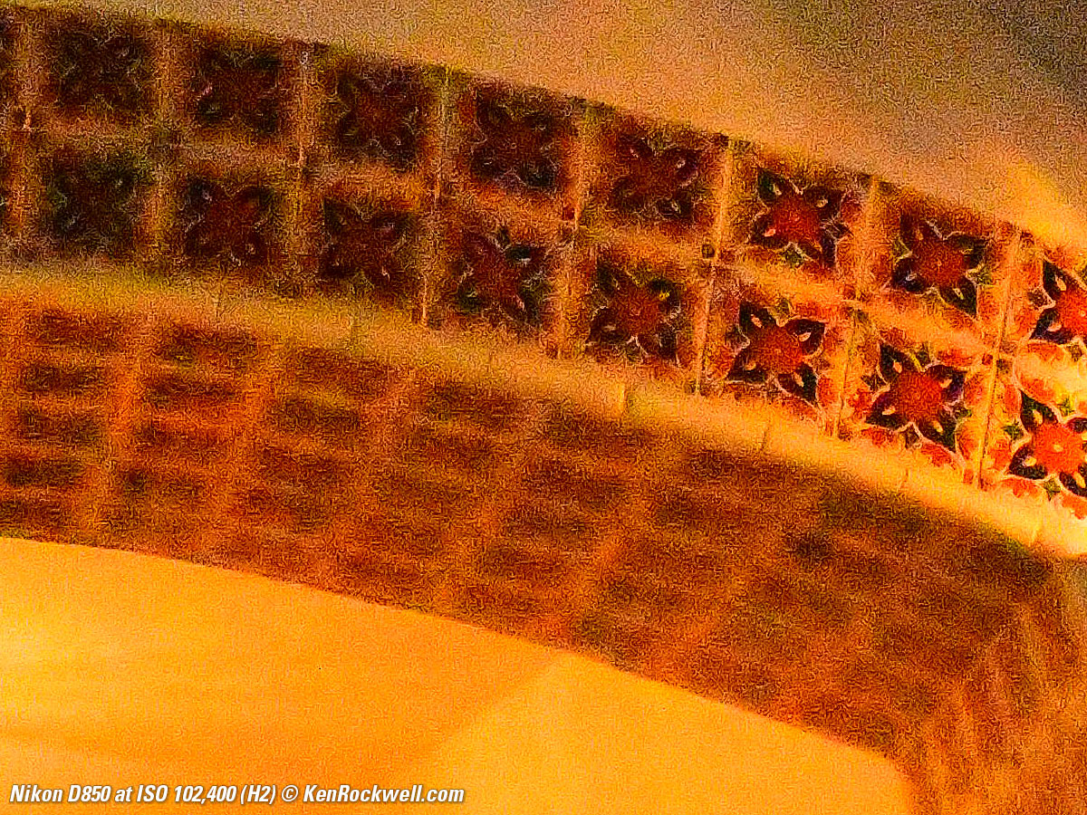 Nikon D850 High ISO Sample Image