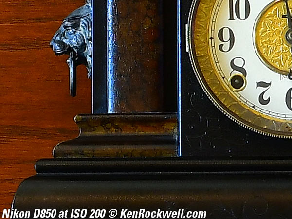 Nikon D850 High ISO Sample Image