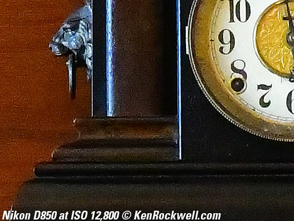 Nikon D850 High ISO Sample Image