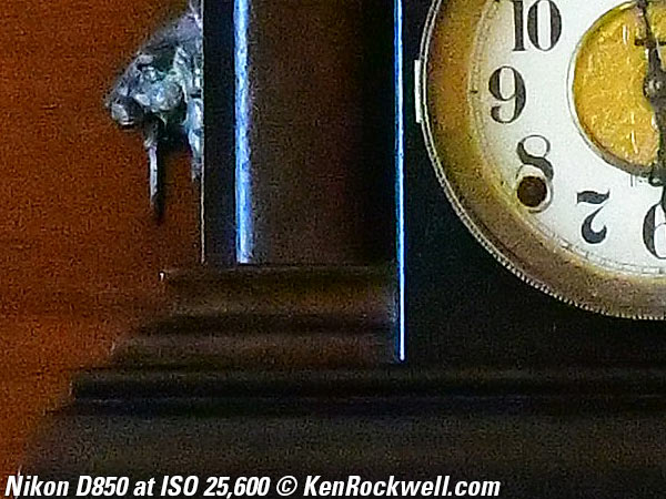 Nikon D850 High ISO Sample Image