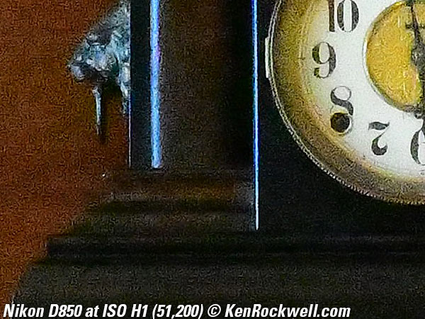 Nikon D850 High ISO Sample Image