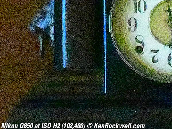 Nikon D850 High ISO Sample Image