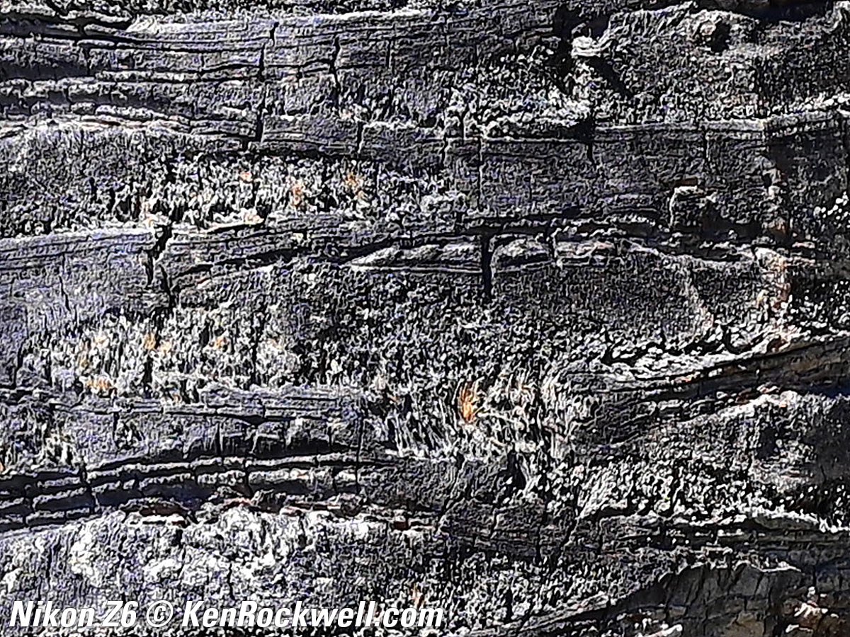 Nikon Z6 Sample Image