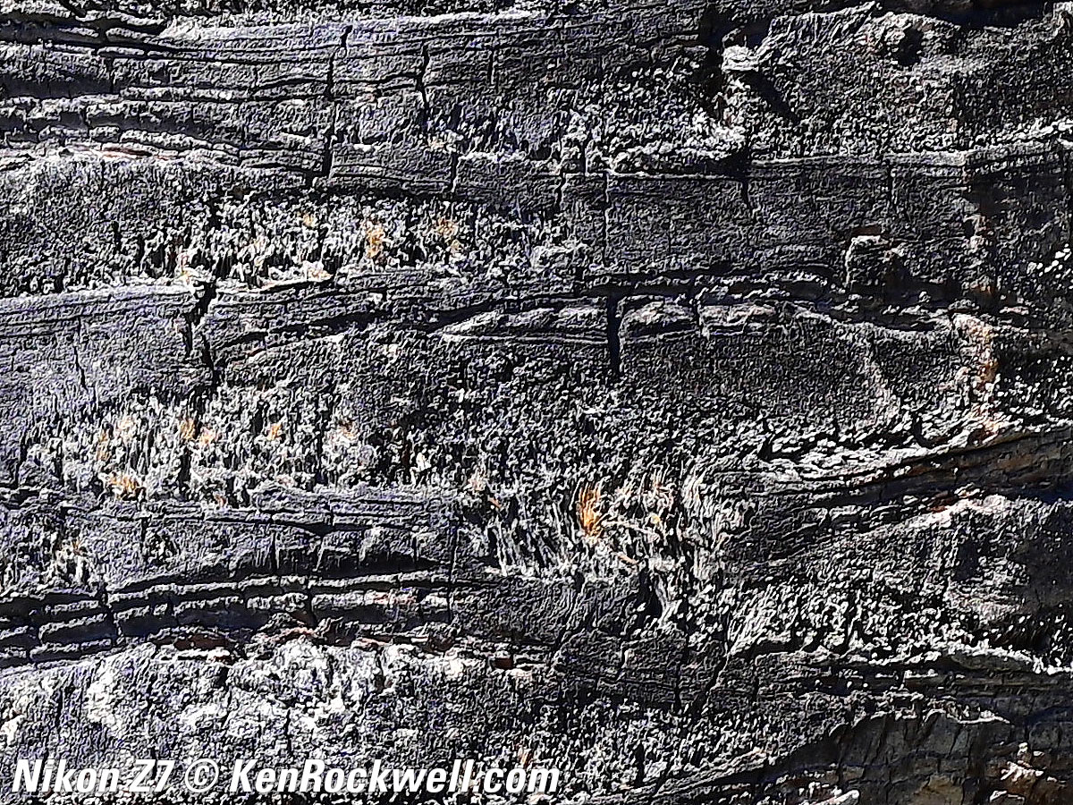 Nikon Z7 Sample Image