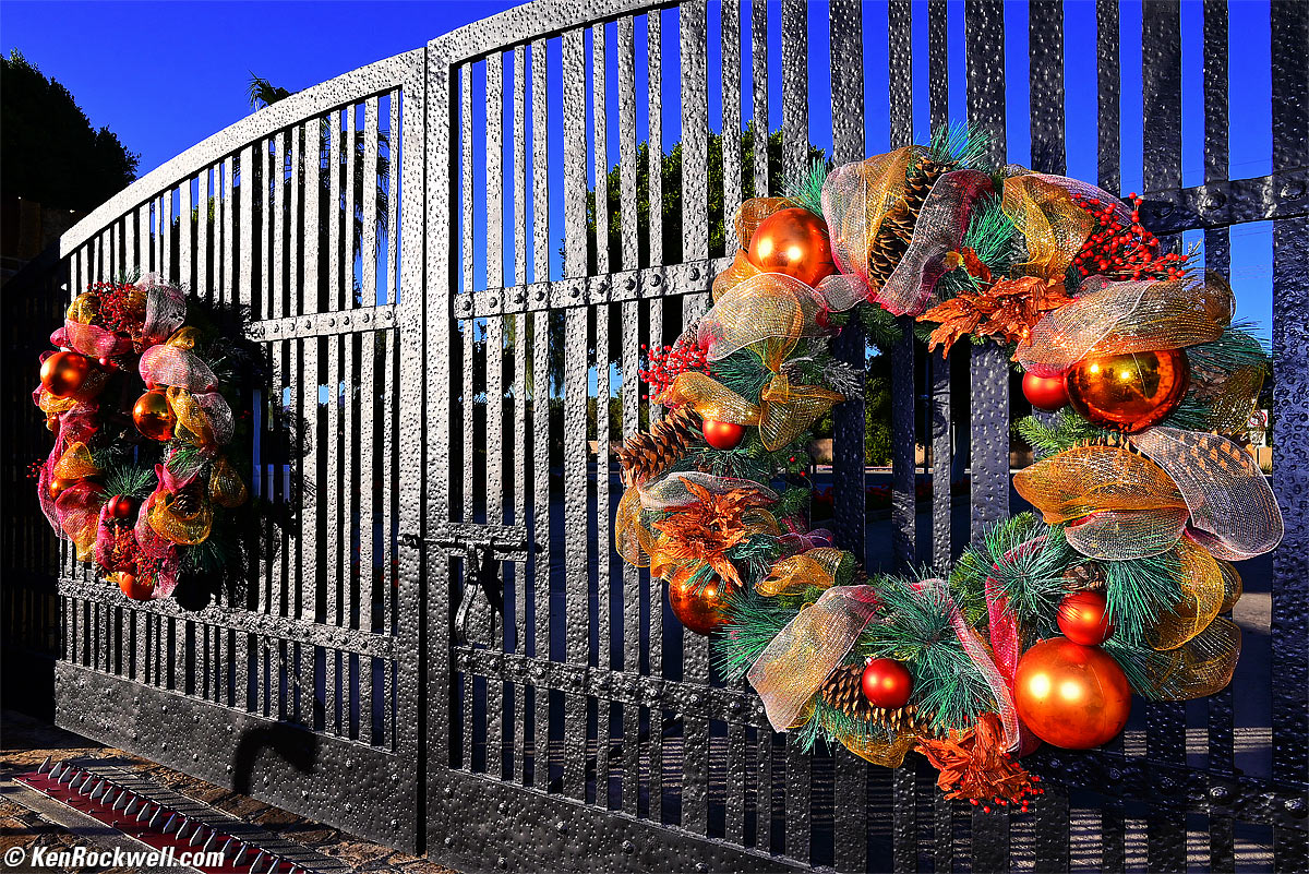 Nikon Z5 Sample Image File