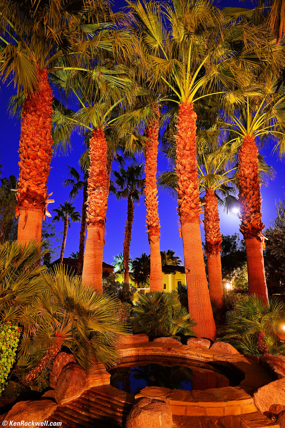 Nikon Z5 Sample Image File