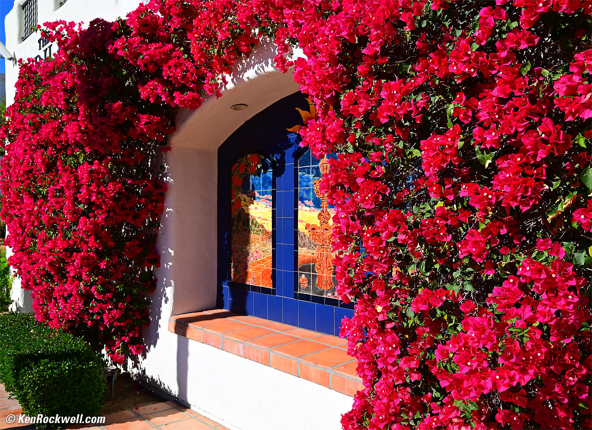 Nikon Z5 Sample Image File