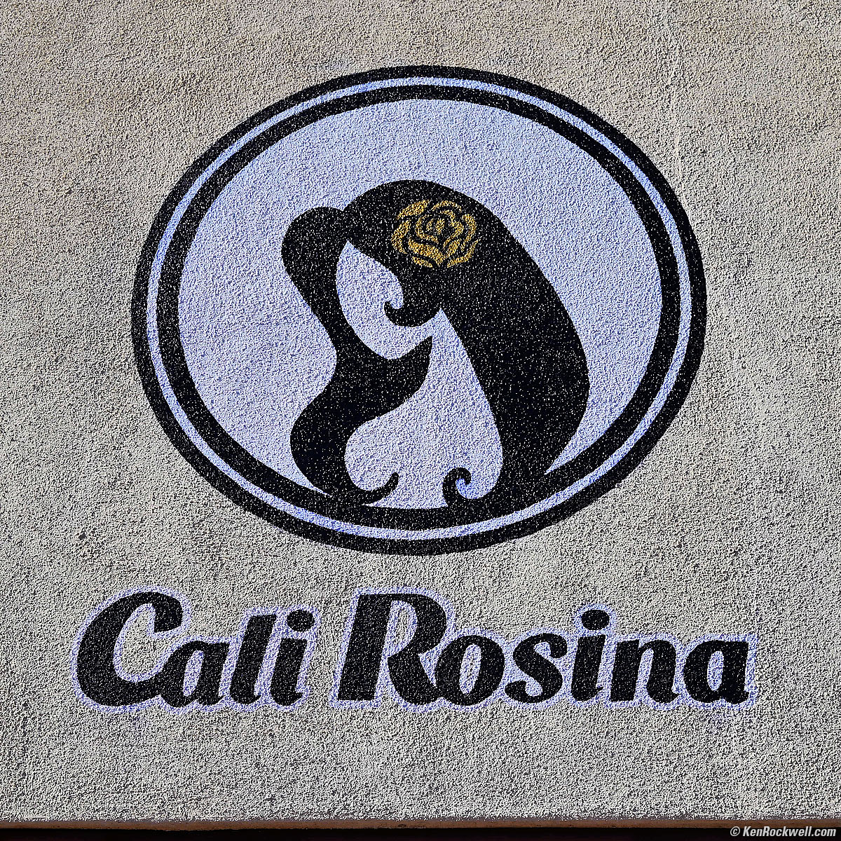 Nikon Z5 Sample Image File